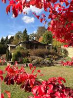 Ferienhaus Eifelgruß, in schöner Waldrandlage und tollem Naturgarten - B&B Oberbettingen