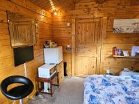 Cabin double sofa bed shower fridge TV microwave parking - B&B Ferndown