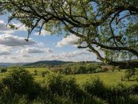 Caplor Glamping and Lodges - B&B Hereford
