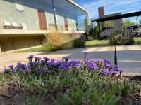 Sol Suites - B&B Villa Cura Brochero