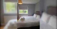 Large Newly updated 3BD Duplex 20Min to Airport - Ferienwohnung Dublin