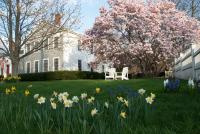 Brewster by the Sea Inn - Bed and Breakfast