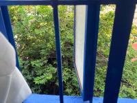 Moons Home Taguig near BGC - Garden View & Full Kitchen - Chambres d'hôtes Taguig