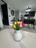 Brand New Luxe Apartment 1 - B&B Carolina