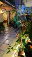 El Patio de las Orquídeas - Centro Histórico de Cuenca - B&B Cuenca