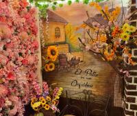 El Patio de las Orquídeas - Centro Histórico de Cuenca - B&B Cuenca