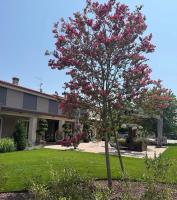 Agriturismo Camerin - CL Agri Lounge - Bed and Breakfast Conegliano