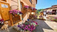 LA FONTANA di Casa Bernardi, terrazzo Wi-Fi PetFriendly con Area Cani - B&B Montagnaga