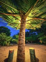 Raaks&jho homes - B&B Alleppey