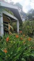 Arenal Villas - B&B Nuevo Arenal