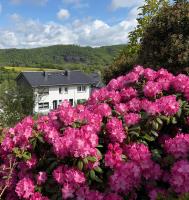 Ferienhaus EifelOne - Panorama - B&B Heimbach