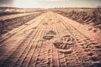 Traditional Navajo Hogan (1)