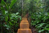 La Manigua Lodge - Bed and Breakfast La Macarena