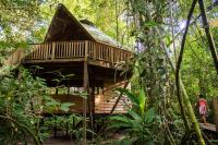 La Manigua Lodge - B&B