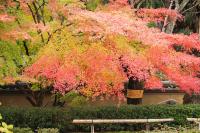 Oukai Villa Izumi - B&B Izumi