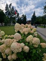 Apartament-Wiejska 5A - B&B Ciechocinek