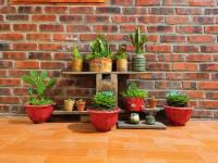YOURS HOME - Tả Van - Bed and Breakfast Tả Van