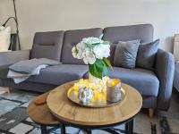 Apartmán Nerudova - B&B Česká Lípa