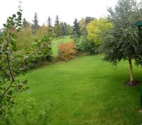 South Africa House Guest Lodge - Chambres d’hôtes Wainwright