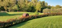 Agriturismo Mariotti Vite Maritata - B&B Calcinelli