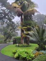NZ Nature Holiday Home - B&B Whangarei