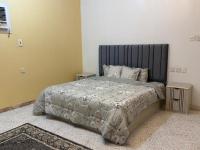 ANA Apartment 2 - B&B Ha'il