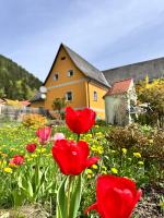 Ferienwohnung in Mixnitz-Bärenschützklamm 2 - B&B Mixnitz