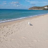 Casetta Anna y nietos - Bed and Breakfast Solanas