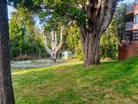 Departamento con pileta climatizada - Bed and Breakfast Bariloche
