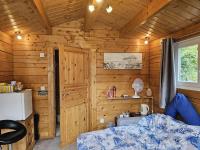 Cabin double sofa bed shower fridge TV micro park - B&B Ferndown
