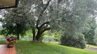 B&B Ernestine Family Home e "La Casa in collina" - B&B Caneva