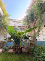 RiadTiznitSouss Soul of Moroccan Riad - Chambres d'hôtes Tiznit
