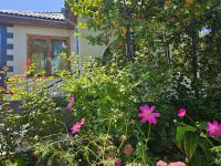 Гостевой дом - Bed and Breakfast Cholpon-Ata