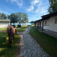 Domki nad Jeziorem Wisola - B&B Ciemnik