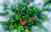 Coorg Humble nest resort Madikeri - Bed and Breakfast Suntikoppa