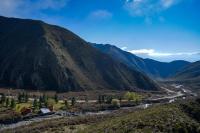 La Araucaria - B&B Potrerillos