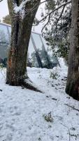 Casa Inmersa en el Bosque - B&B Bariloche