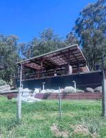 Gilberts rise - Chambres d'hôtes Boolarra