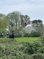 Monmouthshire, Cozy Double room, beautiful garden,farmhouse location, private bathroom, Raglan - B&B Bryngwyn