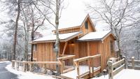 The Blackjack Oak in Treehouse Grove at Norton Creek - Bed and Breakfast Gatlinburg