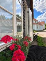 Renthouse Guest Apartment ALICE - B&B Paide