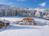 Premium Apartment Sunnseit - B&B Hollersbach im Pinzgau