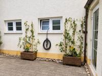JUPAS - Premium Apartments Trier - Bed and Breakfast Trier