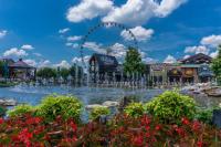 Eagles Loft by American Patriot Getaways - B&B Pigeon Forge