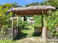 Chalé da Mata, Ilha de Cotijuba - Bed and Breakfast Belém