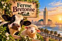 Ferme Bretonne Oasis & View Skyline CFC Zen - B&B Laazaouza
