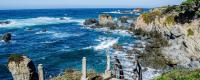 Cleone Bliss, Holiday homes - Fort Bragg