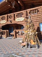 Pensiunea Laricea - B&B Vatra Dornei