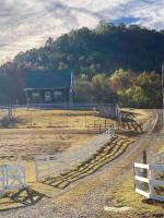 Pokeadot Cabin - Cozy Farm Stay with Pool & Firepit - Ferienwohnung Madisonville
