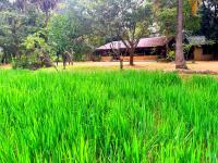 Kamatha Eco Lodge - B&B Habarana